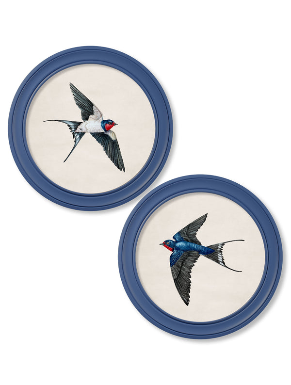 c.1875 Swallows in Round Frames Blue