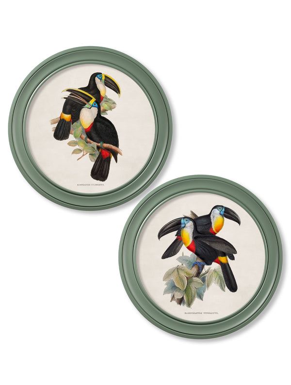 c.1848 Toucans - Round Frames Green