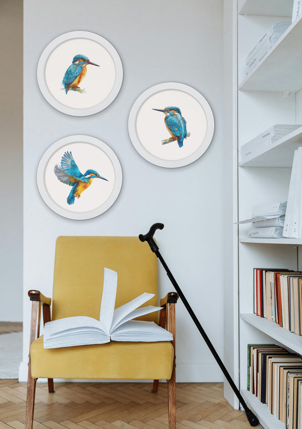 Watercolour Kingfishers - 30cm White Round Box Frame