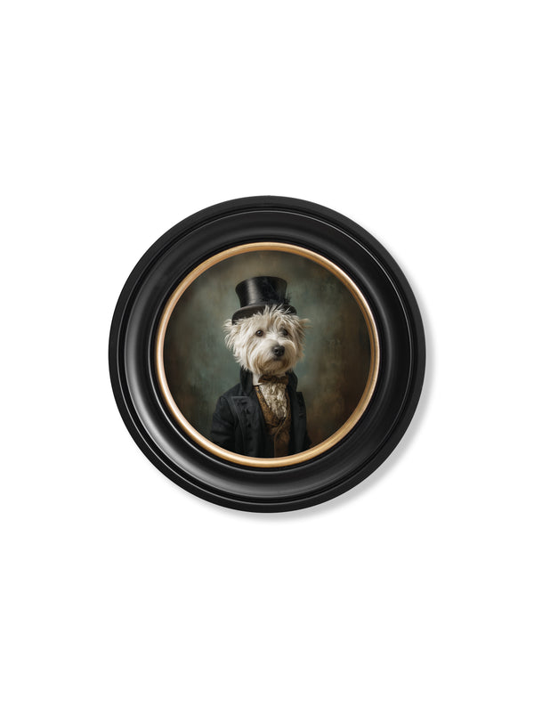 Lord Westly Whitetail - Gentleman Westie Oxford round frame