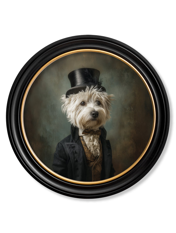 Lord Westly Whitetail - Gentleman Westie Oxford round frame