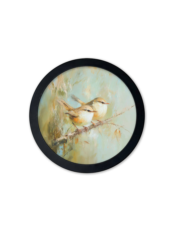 Garden Birds - 30cm Black Round Box Frame