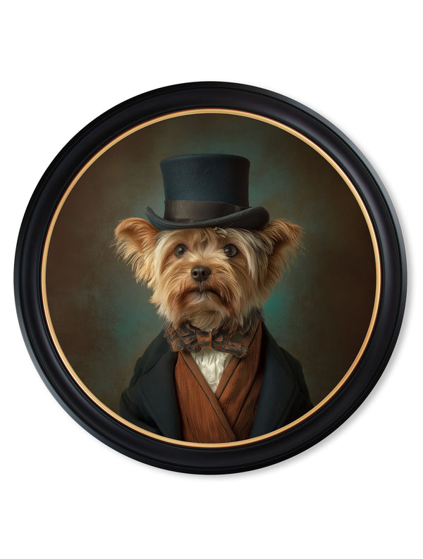 Lord Barkley of York - Gentleman Yorkshire Terrier Oxford round frame