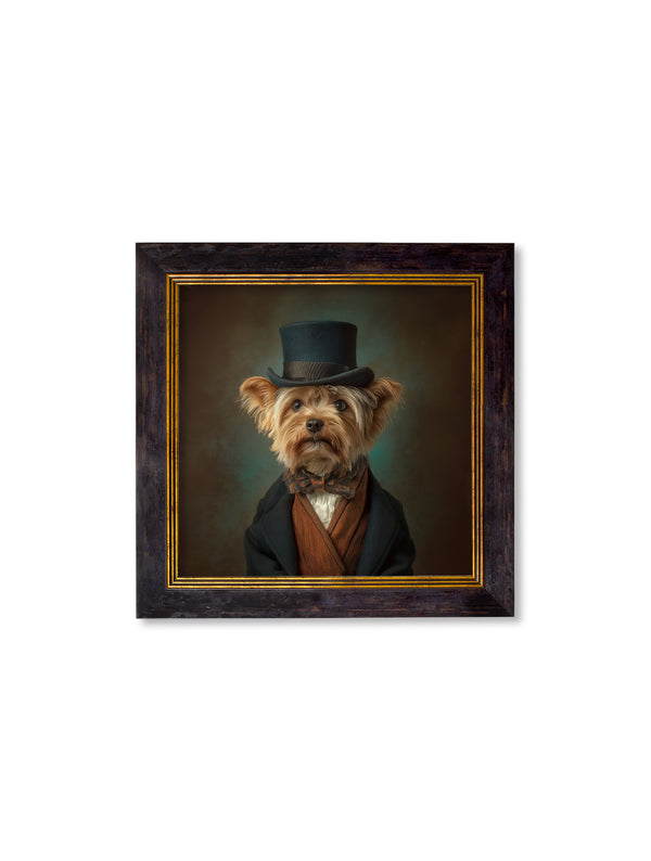 Lord Barkley of York - Gentleman Yorkshire Terrier Oxford Square Frame