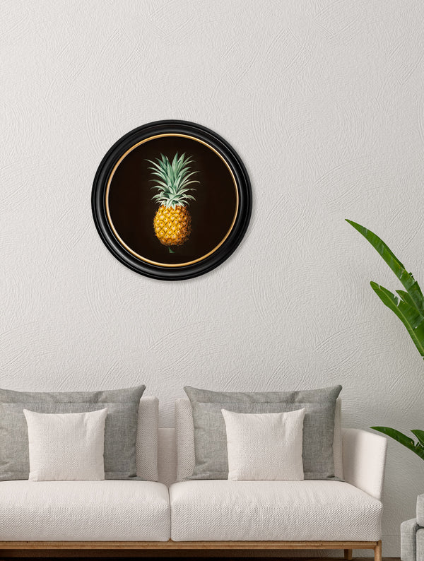 c.1812 Pineapple Study (Black) - Round Frame