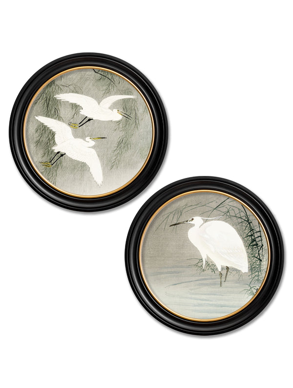 c.1910 Little Egrets - Ohara Koson in Round Frames