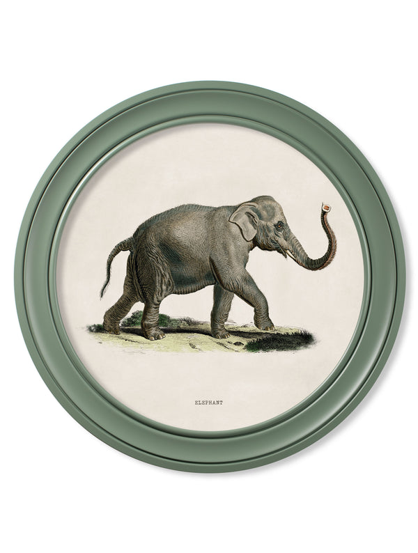 c.1846 Elephants in Round Frame Green