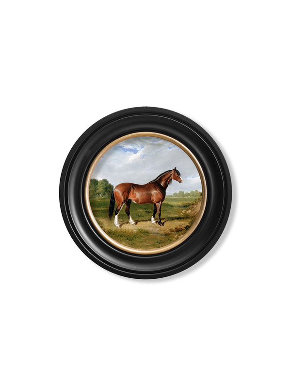 c.1840 Horses - Round Frame
