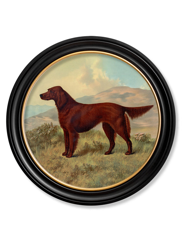 c.1881 Working Dogs - Round Frame