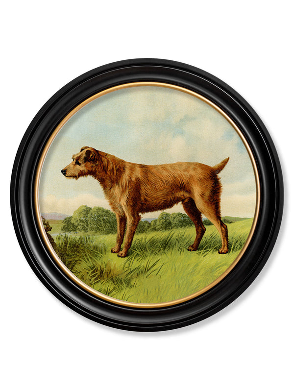 c.1881 Terriers - Round Frame