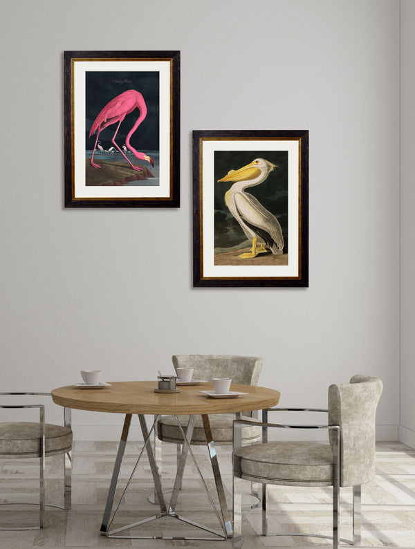 c.1838 Audubon's Flamingo - Dark