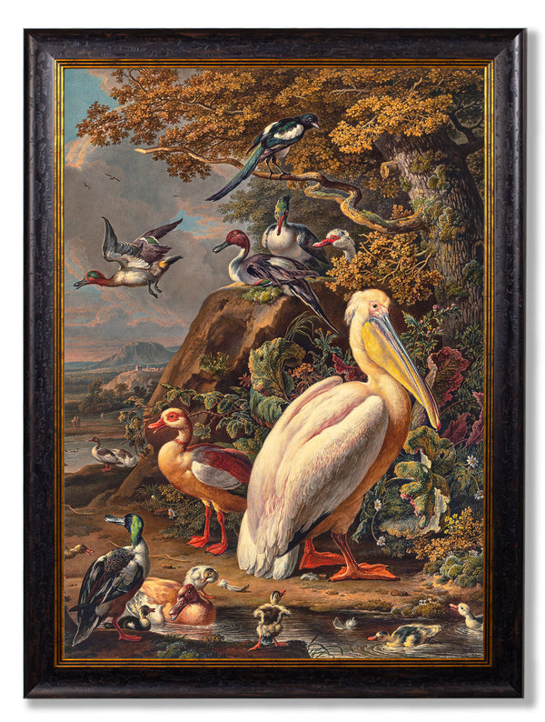 c.1683 Pelican Painting