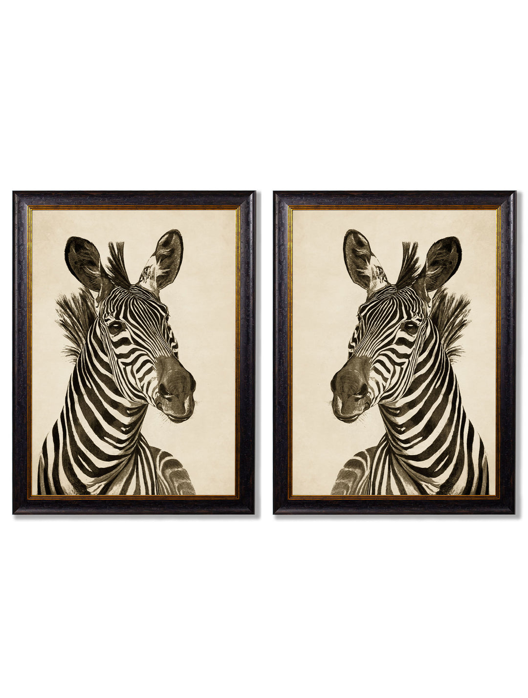 Safari Animals – T A Interiors