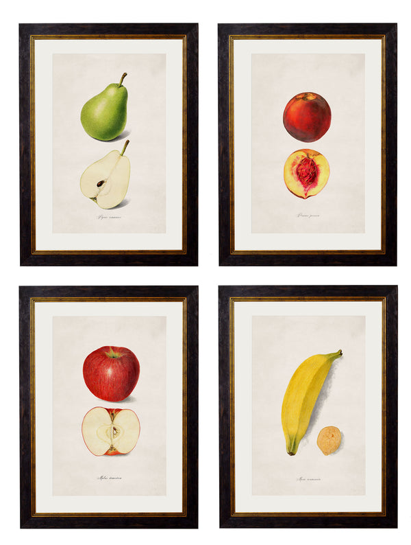 c.1886 Studies of Fruit