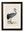 c.1850's British Wading Birds