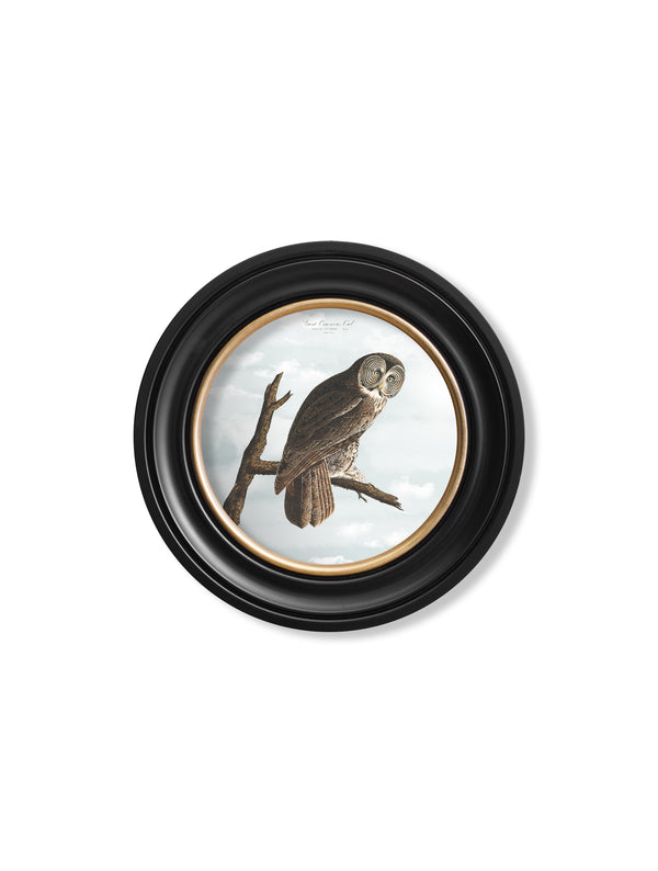 c.1838 Audubon's Owls - Round Frame