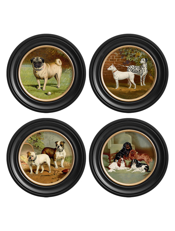 c.1881 Dogs - Round Frame