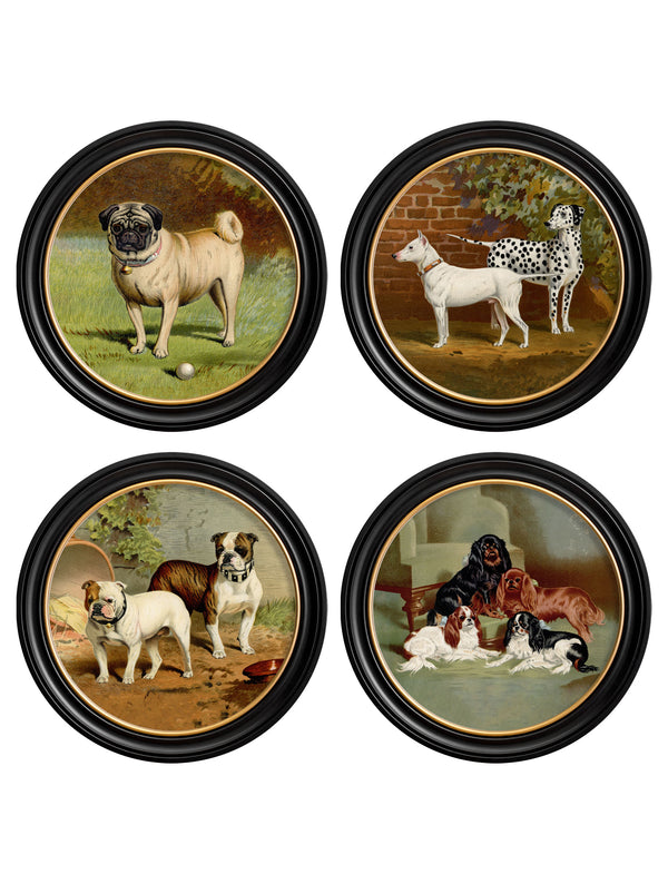 c.1881 Dogs - Round Frame