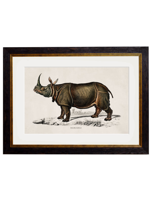 c.1846 Rhino & Hippo