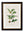 c.1877 Tea Plant - The Weird & Wonderful